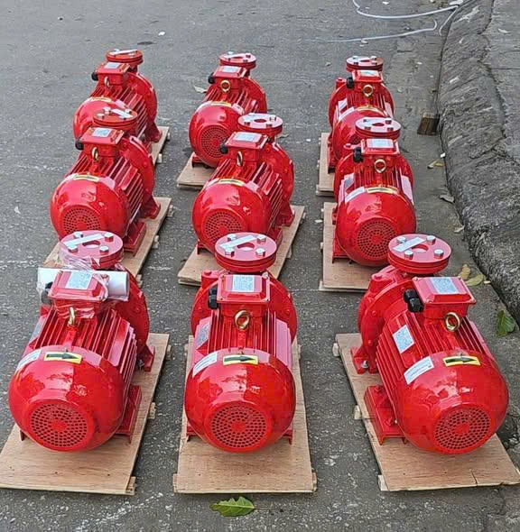 Hình ảnh công ty Thắng Lợi